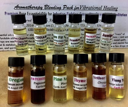 Blending Pack Aromatherapy Premium Oils #2
