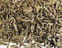 Caraway Seed