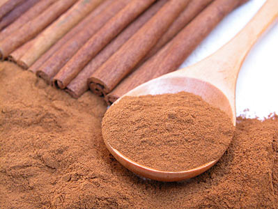 Cinnamon Bark CO2 Select Indonesia #2