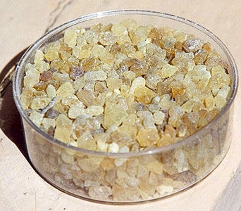 Frankincense SD Boswellia serrata