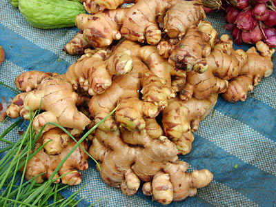 Ginger Root Fresh SD Indonesia