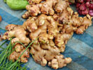 Ginger RootCO2