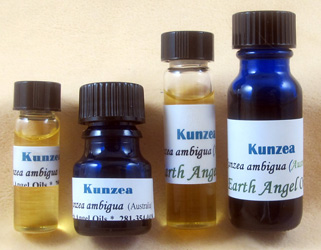 Kunzea ambigua (Australia)