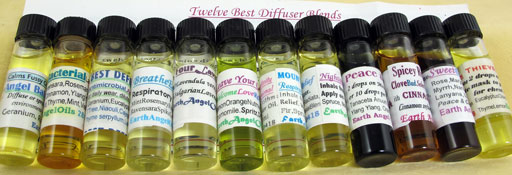 Twelve Best Blends Diffuser DailyWear Combo