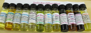 Twelve Best Blends Diffuser DailyWear Combo