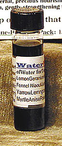 WATER/AIR PURIFIER Antiviral/Antimicrobial Blend #2