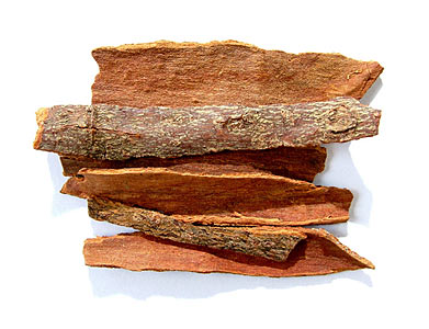 Cinnamon Bark CO2 Select Indonesia